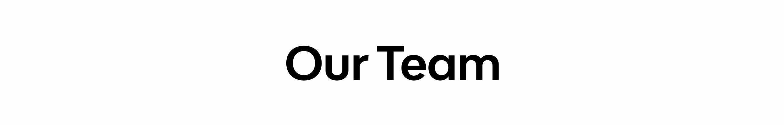 Banner_our team